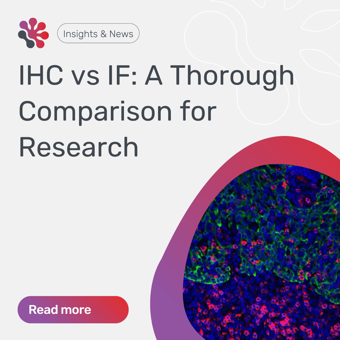 Logo of histologiX featured alongside the title 'IHC vs IF: A Thorough Comparison for Research' and a vivid image of an immunofluorescent scan, signifying the comparison between Immunohistochemistry (IHC) and Immunofluorescence (IF) in research.